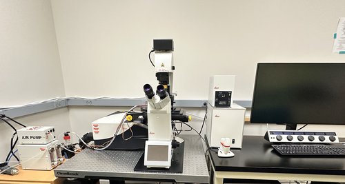 DMi8