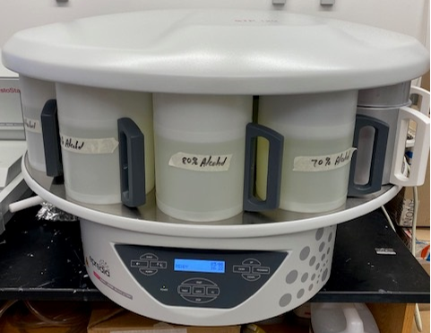 H-TP: Histology: Tissue Processor
