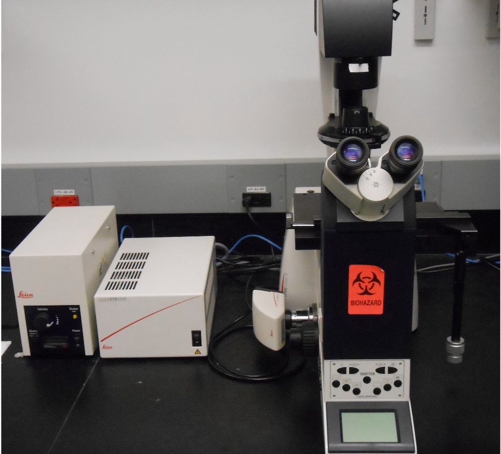 Leica Inverted Microscope